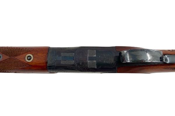 DALY-593550
