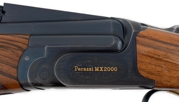 MX2000-118202